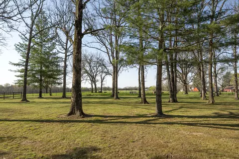 1203 N Forest Grove Ave, Springfield, MO 65802 photo 51