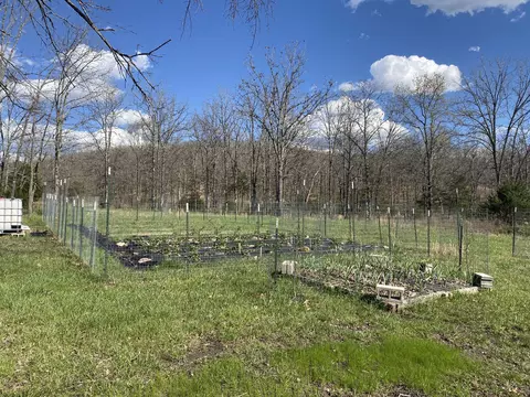 000 County Road 312, Ava, MO 65608 photo 3
