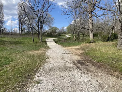 000 County Road 312, Ava, MO 65608 photo 4