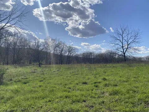 000 County Road 312, Ava, MO 65608 photo 2