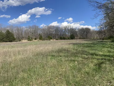 000 County Road 312, Ava, MO 65608 photo 6