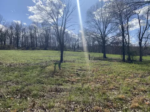 000 County Road 312, Ava, MO 65608 photo 10