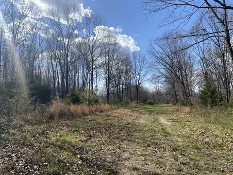 000 County Road 312, Ava, MO 65608 photo 11