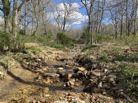 000 County Road 312, Ava, MO 65608 photo 7