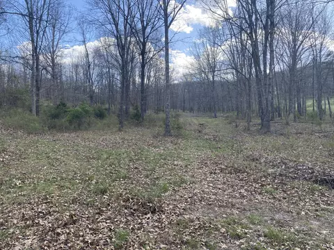 000 County Road 312, Ava, MO 65608 photo 9
