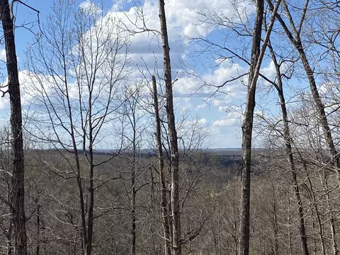 000 County Road 312, Ava, MO 65608 photo 16