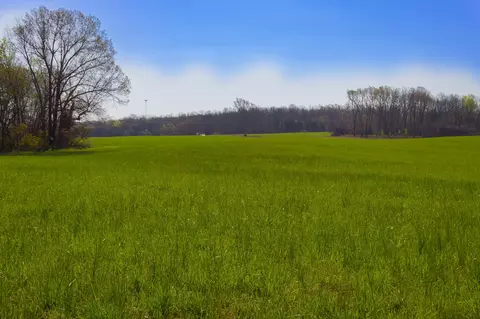 000 County Trails Rd, Conway, MO 65632 photo 56