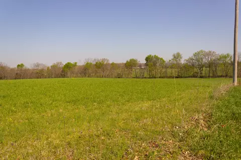 000 County Trails Rd, Conway, MO 65632 photo 50