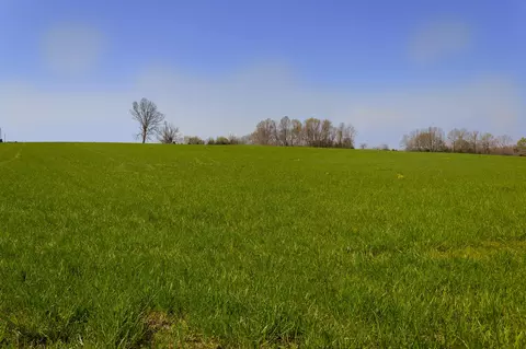 000 County Trails Rd, Conway, MO 65632 photo 58