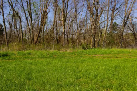 000 County Trails Rd, Conway, MO 65632 photo 39
