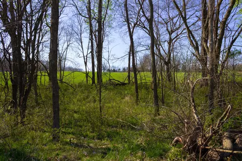 000 County Trails Rd, Conway, MO 65632 photo 19