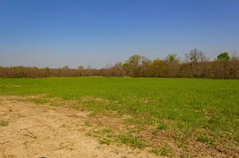 000 County Trails Rd, Conway, MO 65632 photo 54
