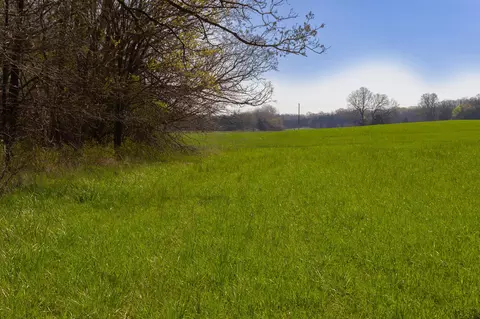 000 County Trails Rd, Conway, MO 65632 photo 57