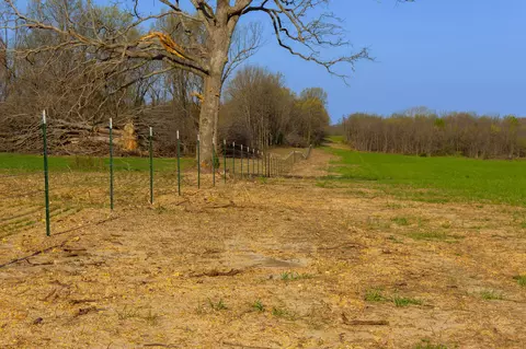 000 County Trails Rd, Conway, MO 65632 photo 36