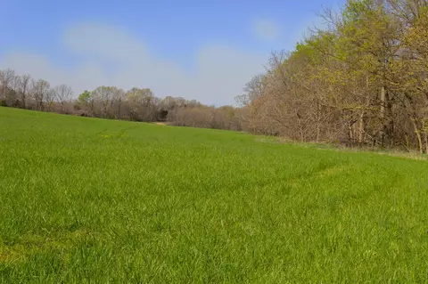 000 County Trails Rd, Conway, MO 65632 photo 59