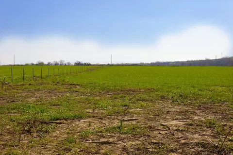 000 County Trails Rd, Conway, MO 65632 photo 26
