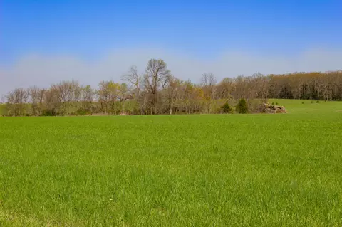 000 County Trails Rd, Conway, MO 65632 photo 18