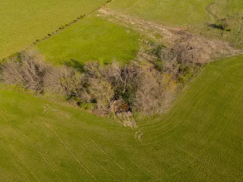 000 County Trails Rd, Conway, MO 65632 photo 8