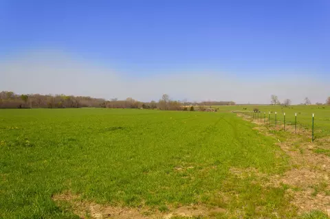 000 County Trails Rd, Conway, MO 65632 photo 30