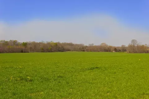 000 County Trails Rd, Conway, MO 65632 photo 31