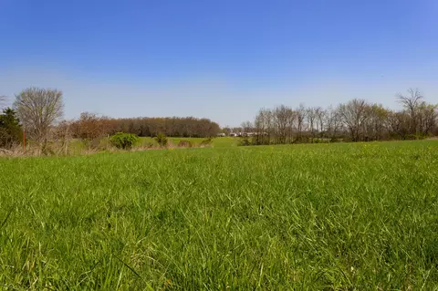 000 County Trails Rd, Conway, MO 65632 photo 21