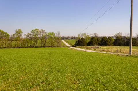 000 County Trails Rd, Conway, MO 65632 photo 51