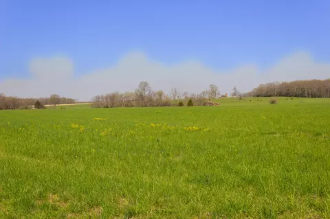 000 County Trails Rd, Conway, MO 65632 photo 15