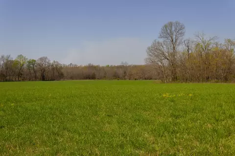 000 County Trails Rd, Conway, MO 65632 photo 29