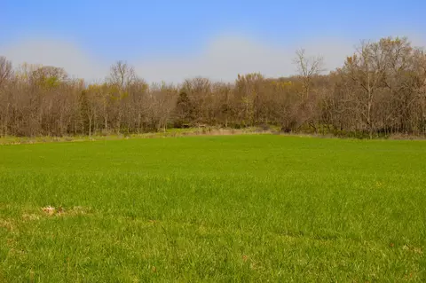 000 County Trails Rd, Conway, MO 65632 photo 11