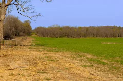 000 County Trails Rd, Conway, MO 65632 photo 37