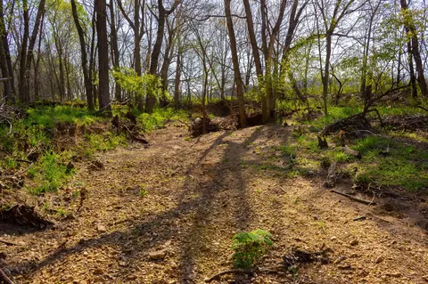 000 County Trails Rd, Conway, MO 65632 photo 14