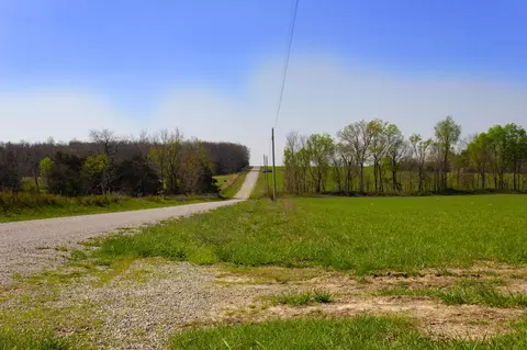 000 County Trails Rd, Conway, MO 65632 photo 32
