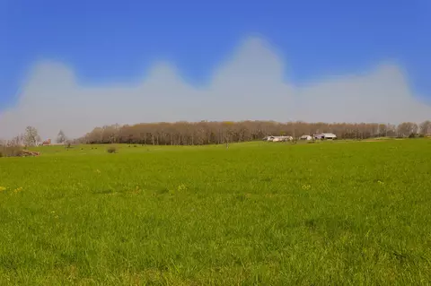 000 County Trails Rd, Conway, MO 65632 photo 16
