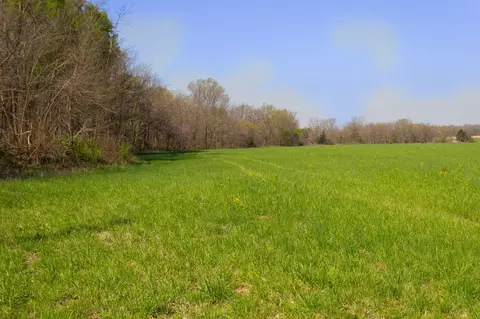 000 County Trails Rd, Conway, MO 65632 photo 60