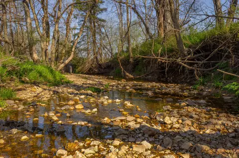 000 County Trails Rd, Conway, MO 65632 photo 43