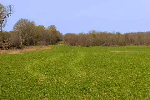 000 County Trails Rd, Conway, MO 65632 photo 49
