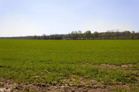 000 County Trails Rd, Conway, MO 65632 photo 27