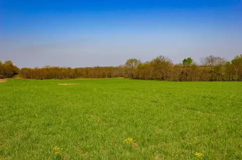 000 County Trails Rd, Conway, MO 65632 photo 53