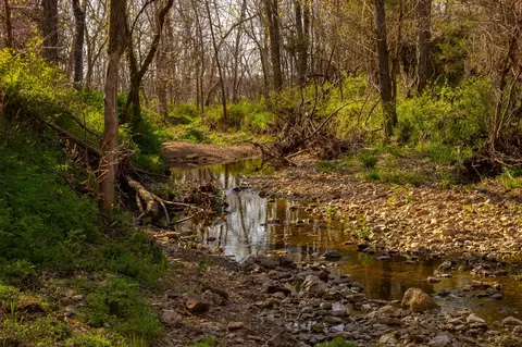 000 County Trails Rd, Conway, MO 65632 photo 44