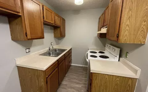 1115 W Elm Arcade St, Springfield, MO 65806 photo 9