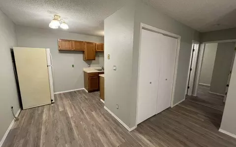 1115 W Elm Arcade St, Springfield, MO 65806 photo 8