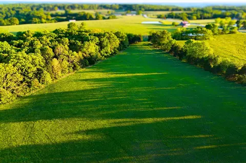 tbd 002 State Highway 14, Bruner, MO 65620 photo 9