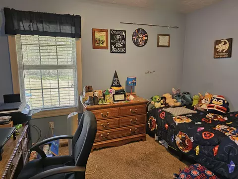 1126 Woodland Rdg, Monett, MO 65708 photo 24