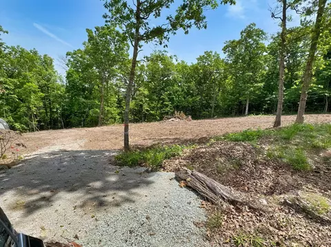 650 Lakeview Dr, Ridgedale, MO 65739 photo 13