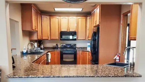 650 Lakeview Dr, Ridgedale, MO 65739 photo 25