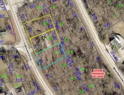 650 Lakeview Dr, Ridgedale, MO 65739 photo 11