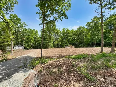 650 Lakeview Dr, Ridgedale, MO 65739 photo 12