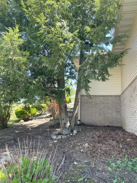 Exterior - 1913 Wayside Ln, Ava, MO 65608 photo 8 of 11