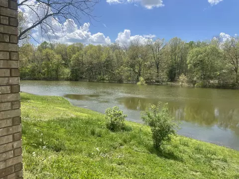 View/Area - 1913 Wayside Ln, Ava, MO 65608 photo 5 of 8