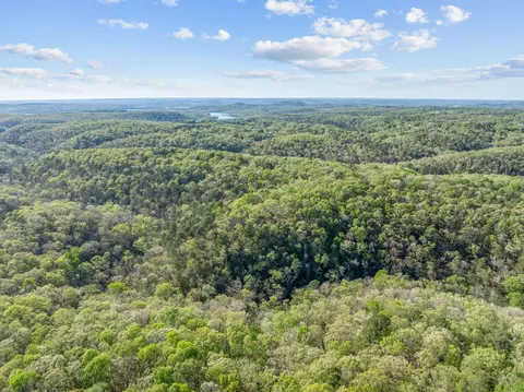 View/Area - 160 Old Horseshoe Rdg, Lampe, MO 65681 photo 3 of 4